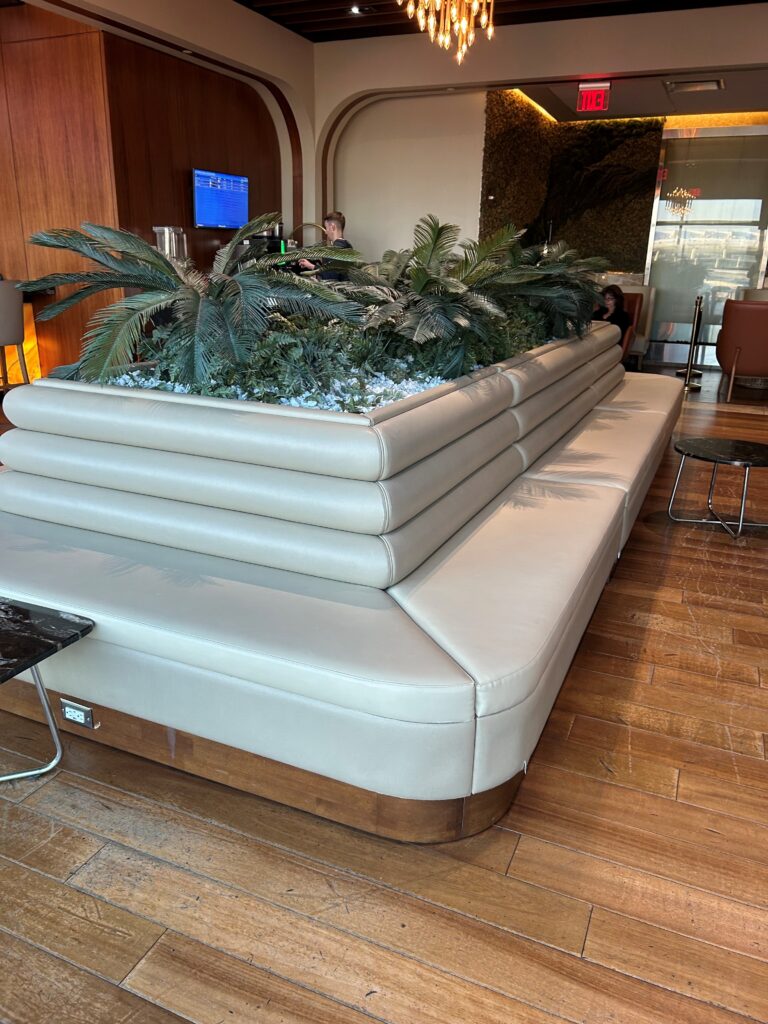 a white couch with plants on top