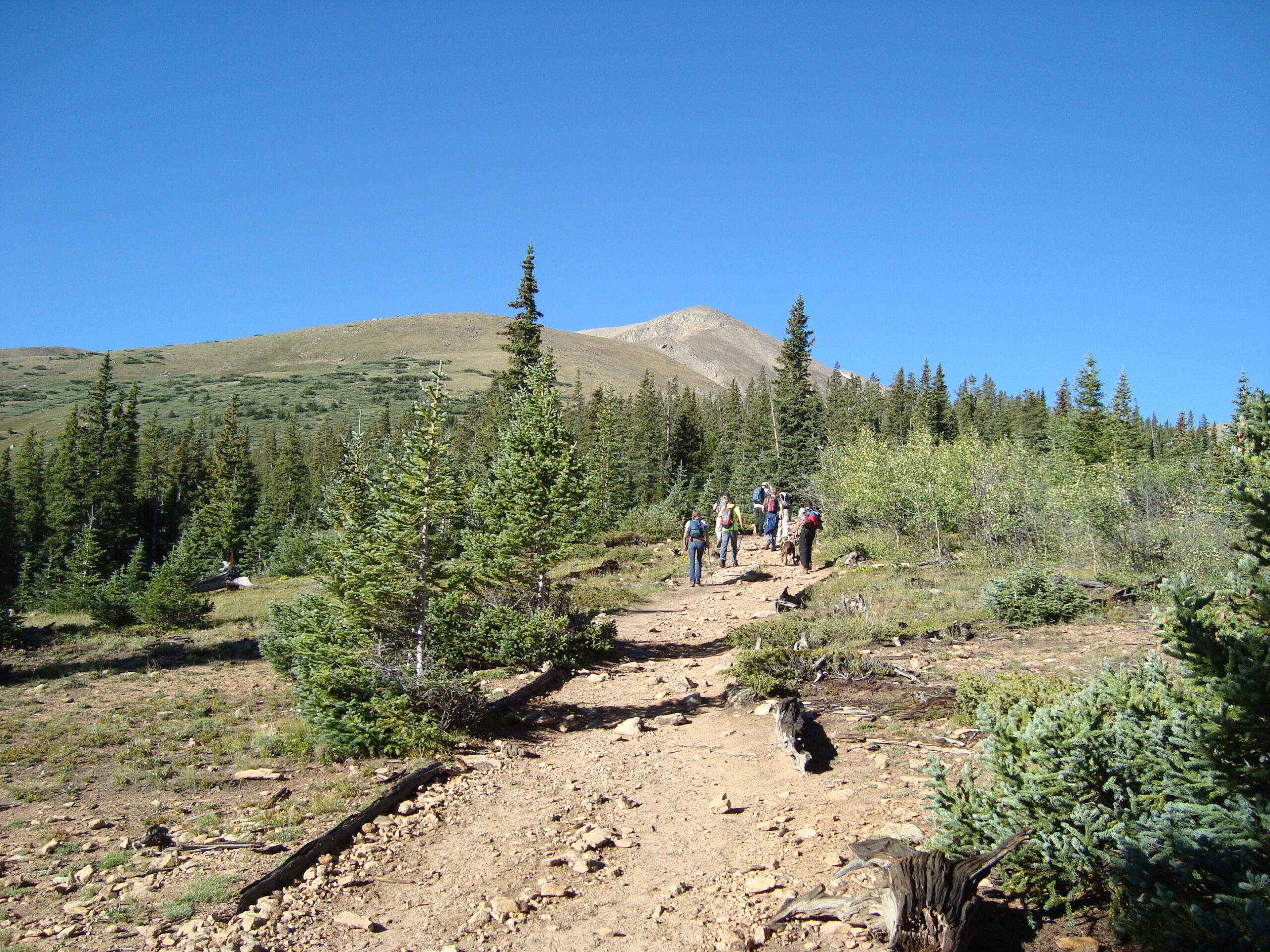 A group of hikers is walking along a rocky trail surrounded by evergreen trees. In the background, there is a mountain under a clear blue sky. The landscape is lush with greenery, indicating a forested area.