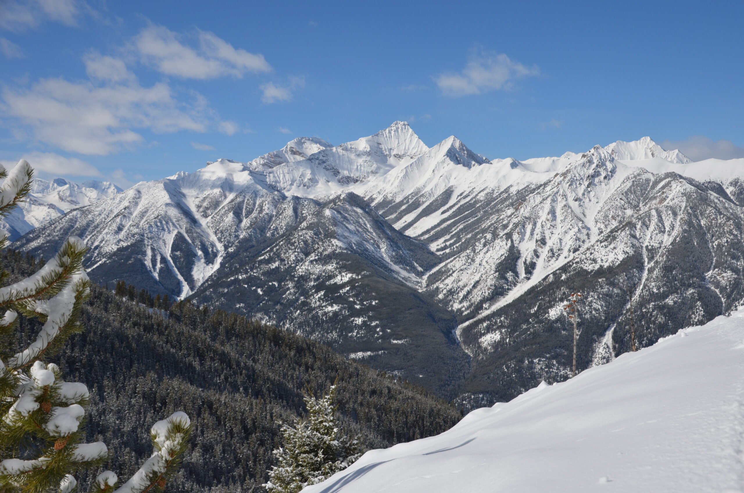 A scenic view of snow-covered mountains under a clear blue sky. The foreground features snow-laden pine trees, and the background showcases a range of rugged peaks with patches of forested areas.