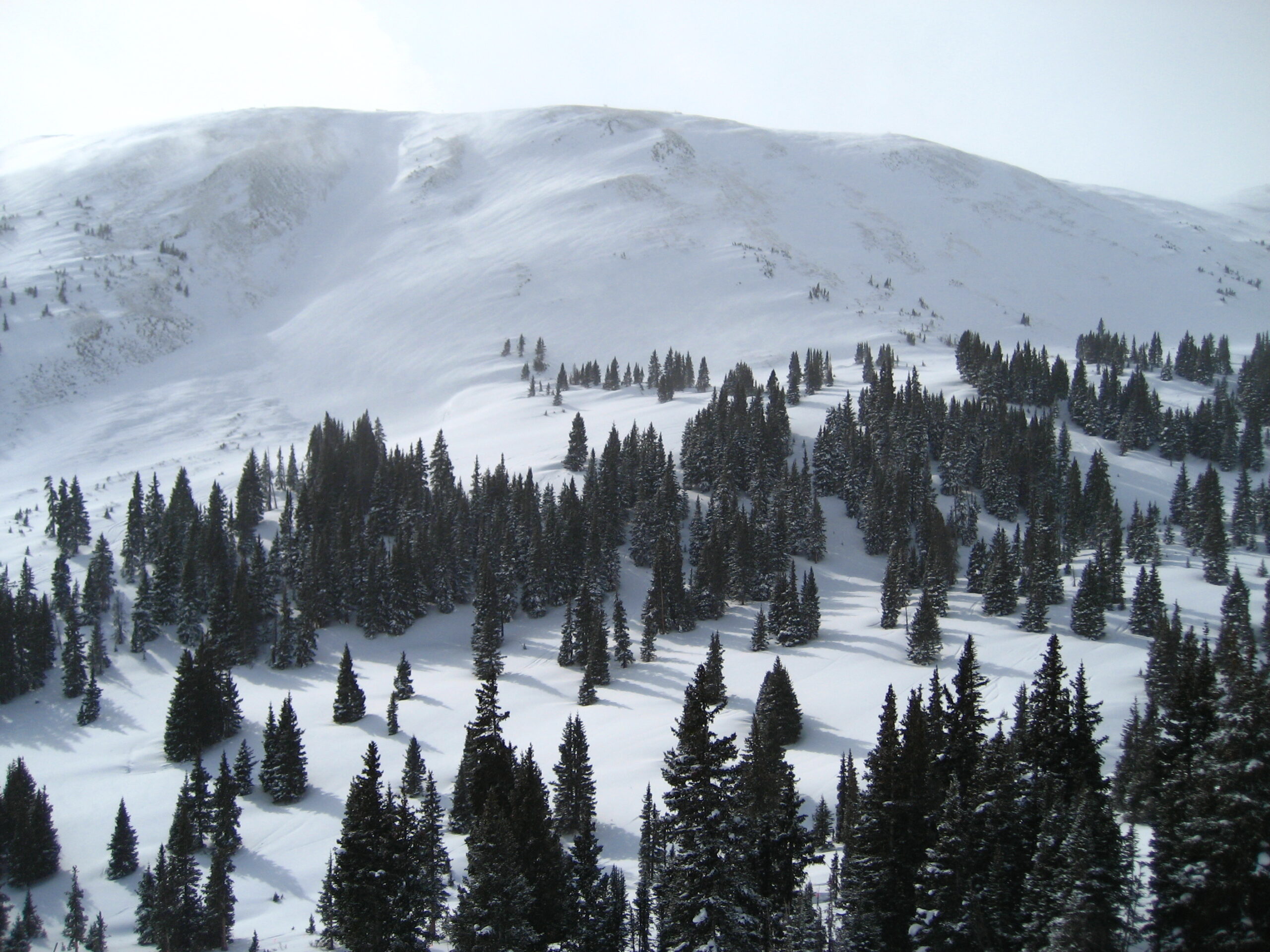 A snowy mountain landscape with a forest of evergreen trees scattered across the slopes. The mountain is covered in snow, and the trees cast long shadows on the white surface. The sky is overcast, adding a serene and cold atmosphere to the scene.