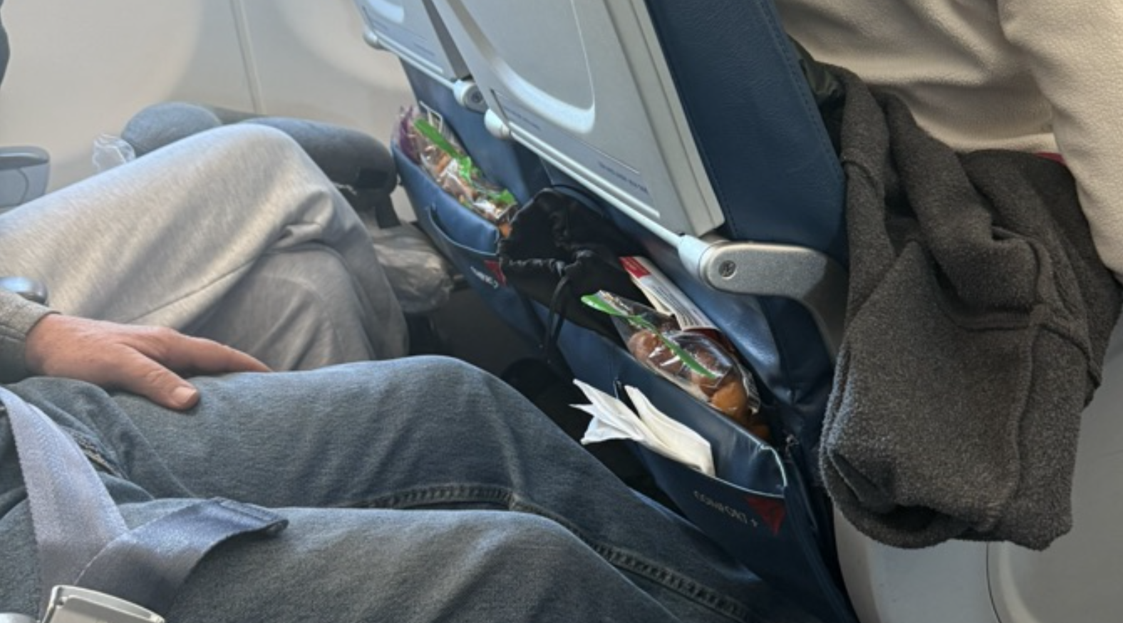 Squirrel-Like Delta Passenger Stashes Dried Fruit and Nuts in Seat Back and Neighbor’s Seat