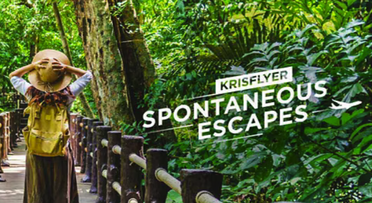 Singapore Airlines Spontaneous Escapes: Save 30% on select KrisFlyer award flights