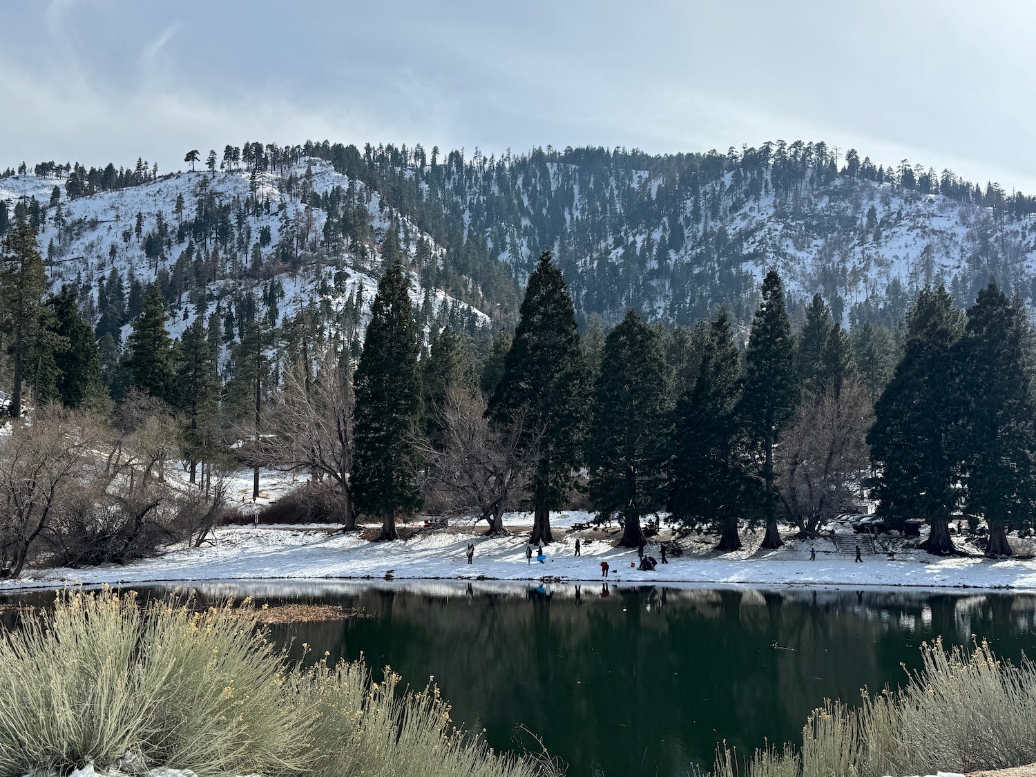 The Last Snow Day Of The Season In LA…