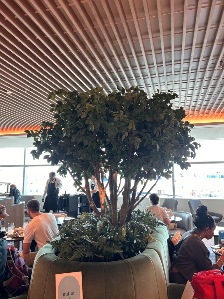 a tree in a planter in a restaurant