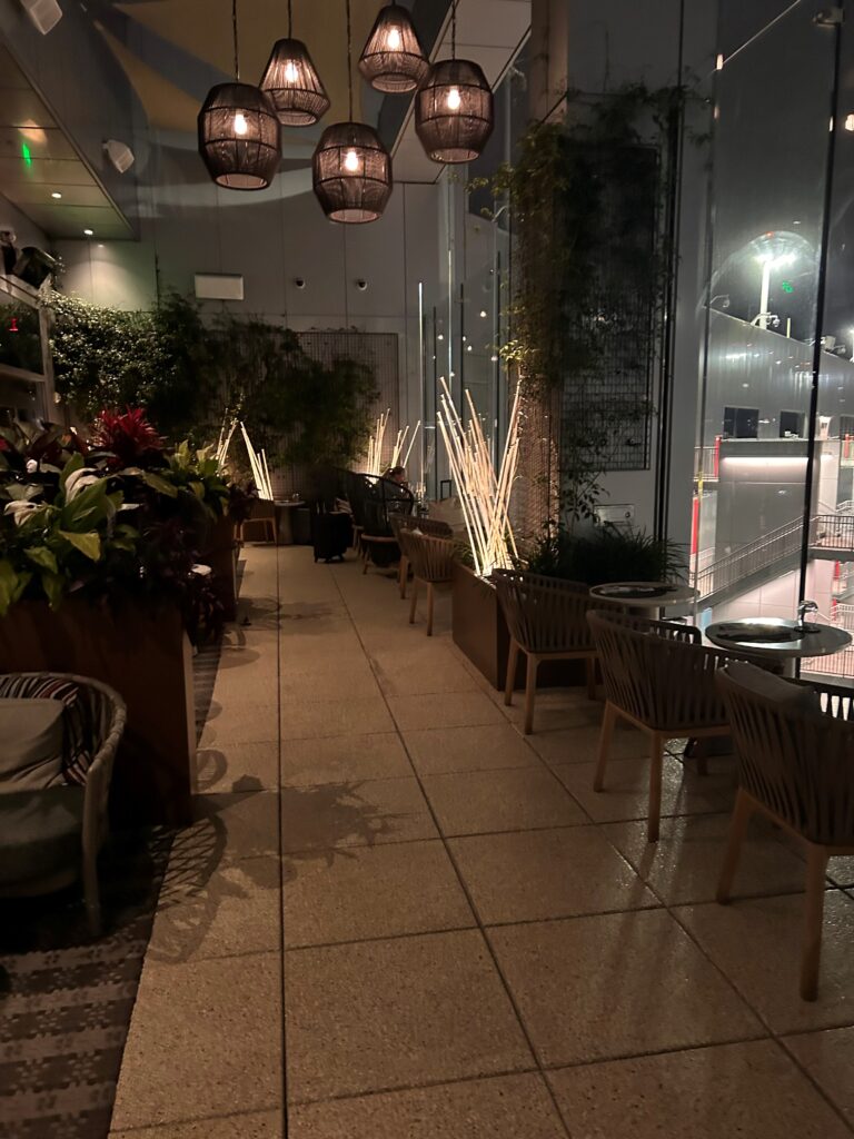 a room with chairs and plants