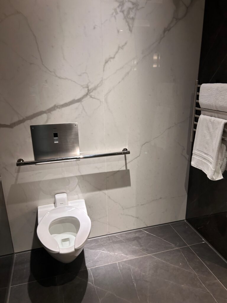 a toilet in a bathroom