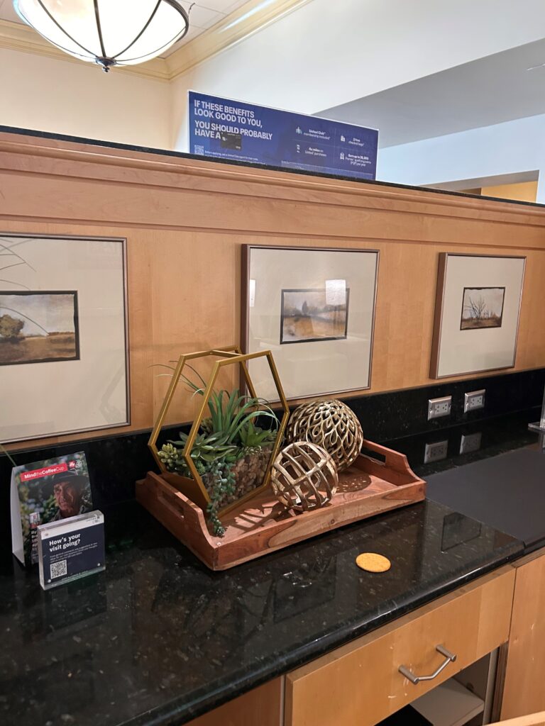 a display of plants on a counter