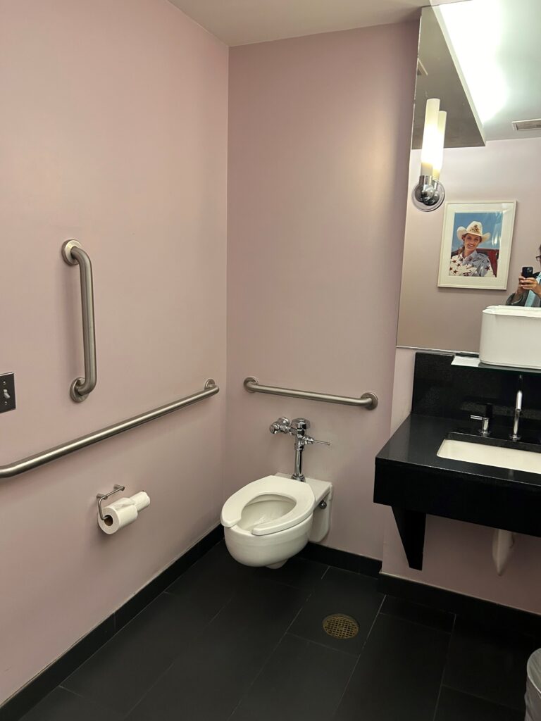 a bathroom with a sink and toilet
