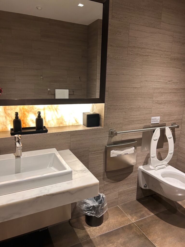 a bathroom with a sink and toilet