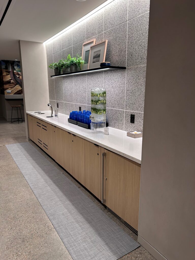a counter with a shelf and plants on the wall