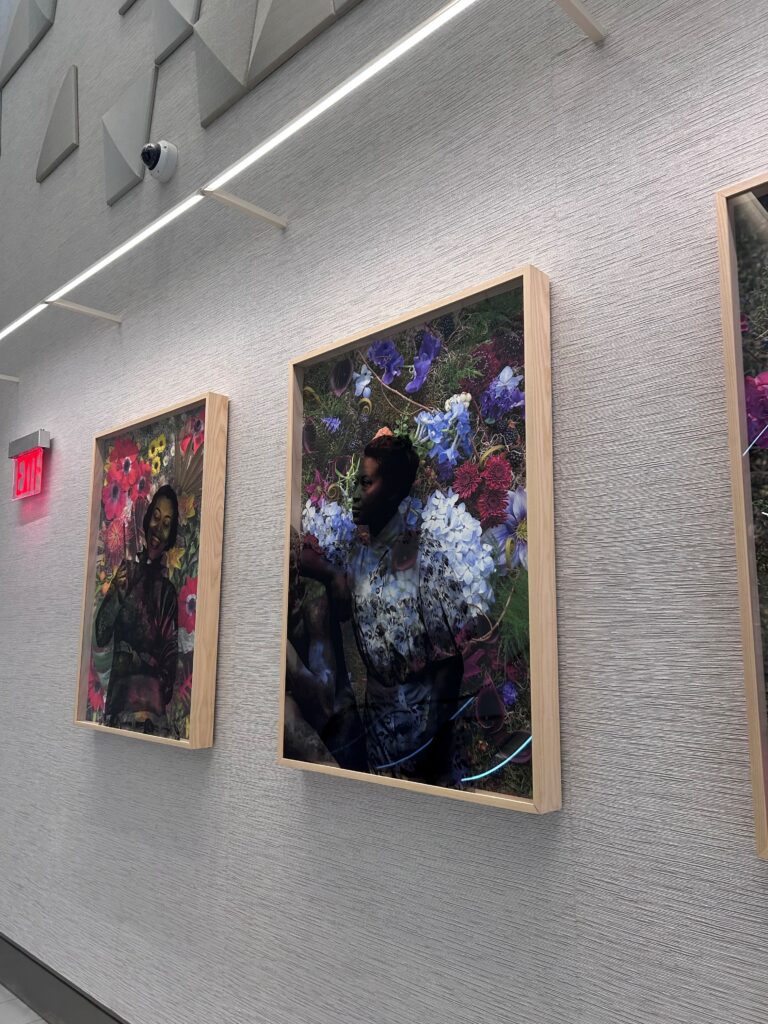a group of framed pictures on a wall