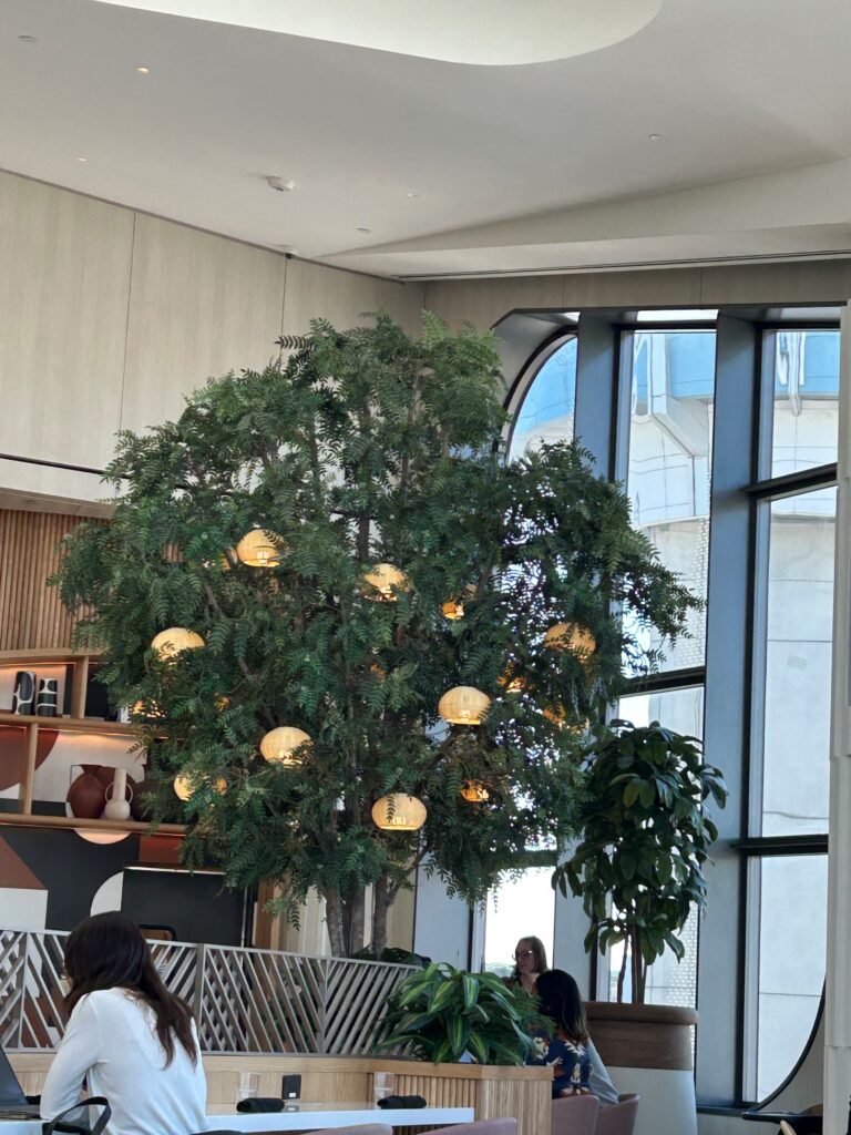 a tree with lights from it