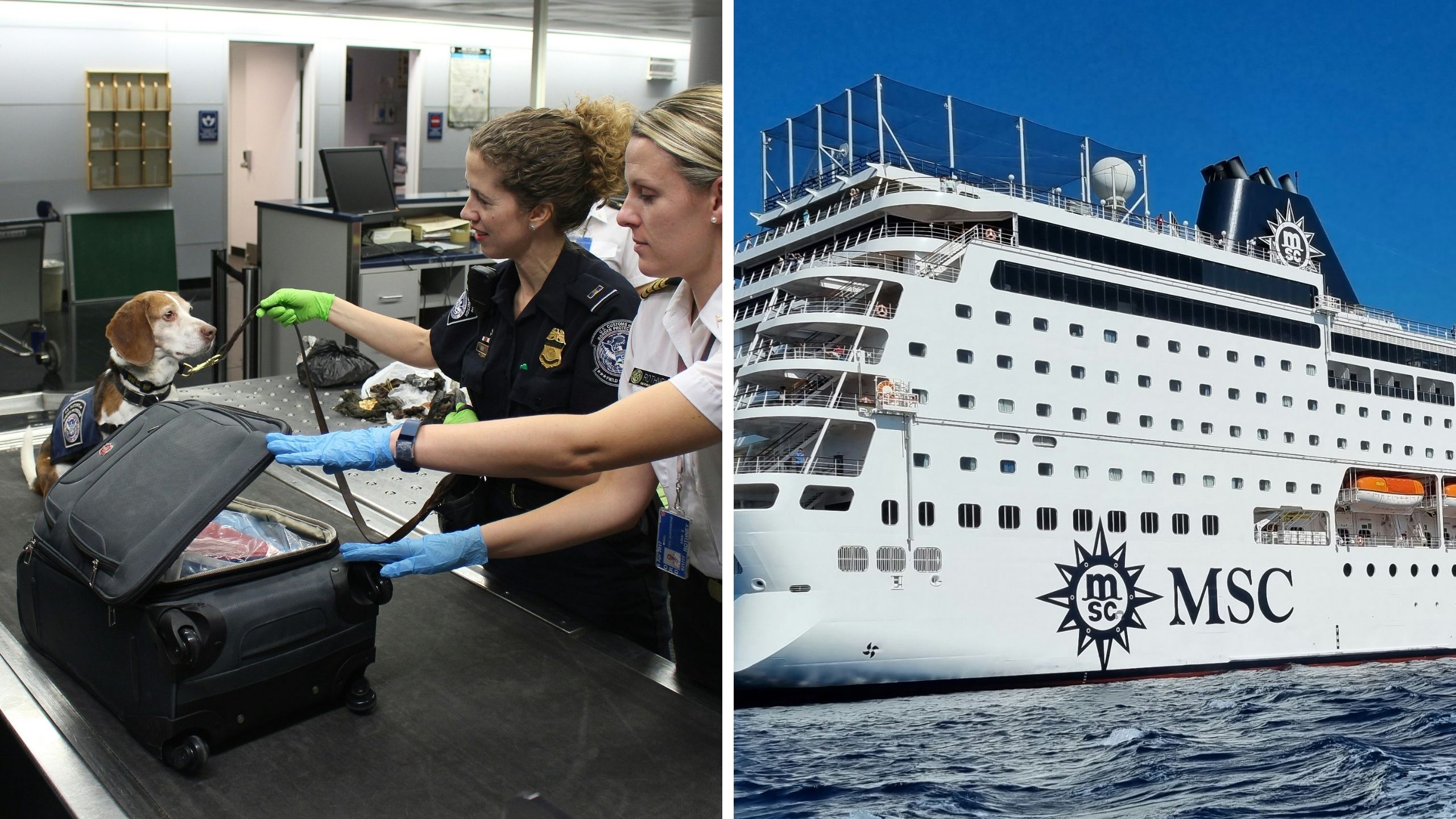 security check before boarding (l) MSC cruise (r)
