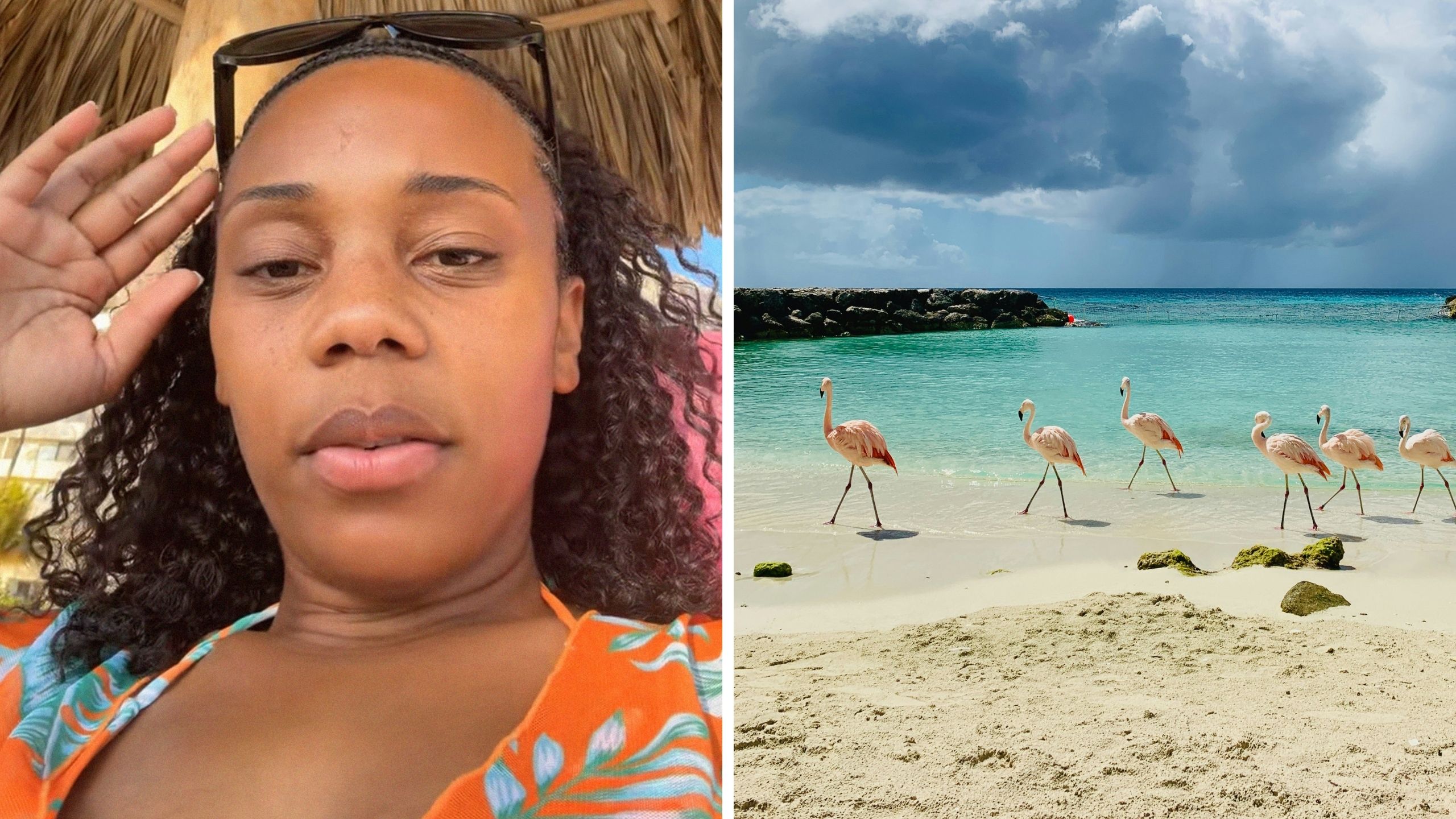 woman shares vacation experiences (l) Aruba beach and animals (r)